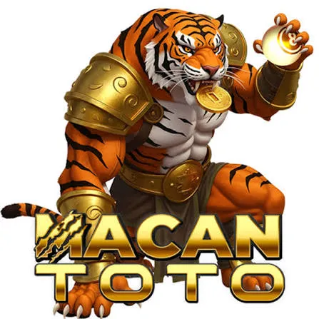 MACANTOTO - Game QiuQiu Terbaik untuk Penggemar Kartu